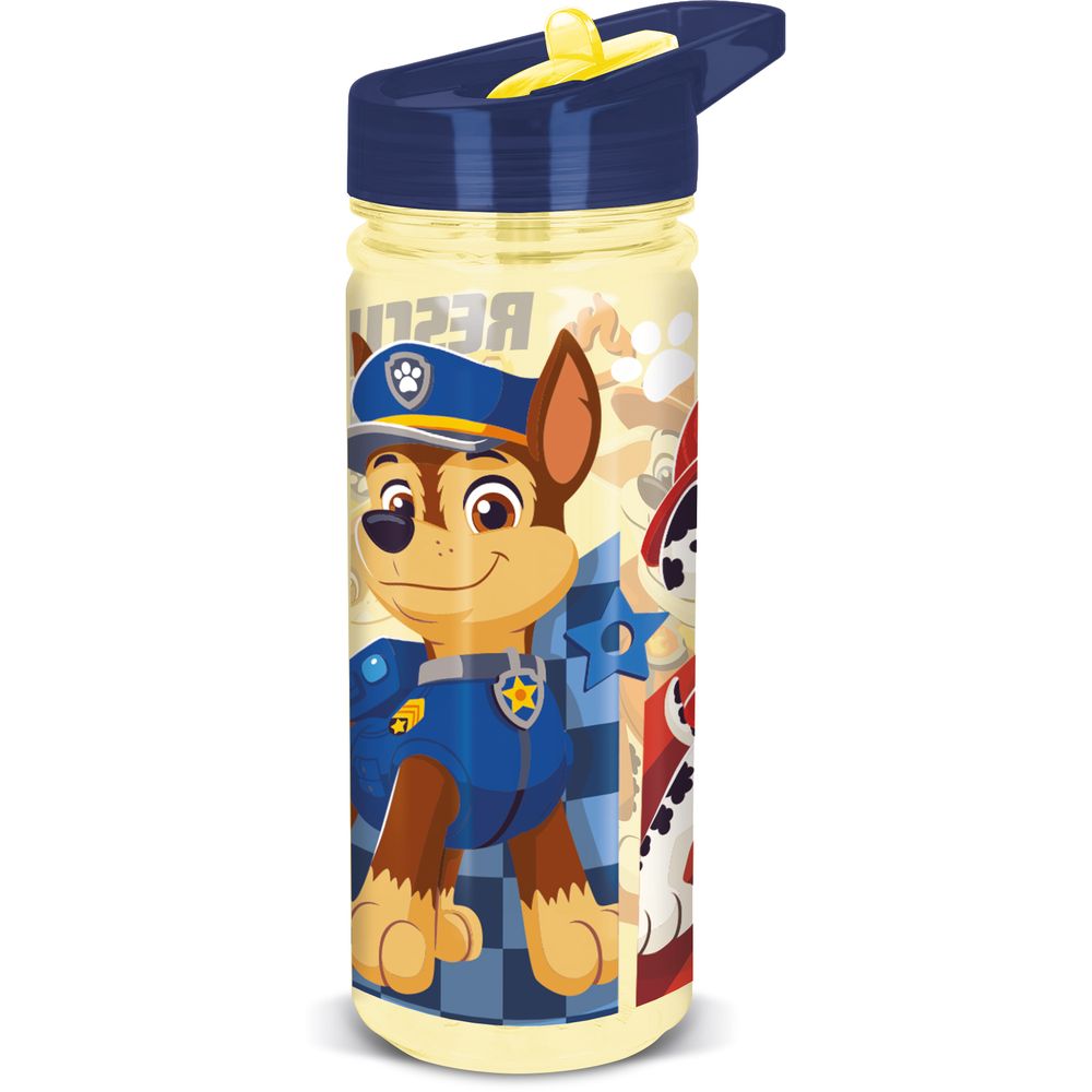 Botella 580ml Large Ecozen Paw Patrol Skye
